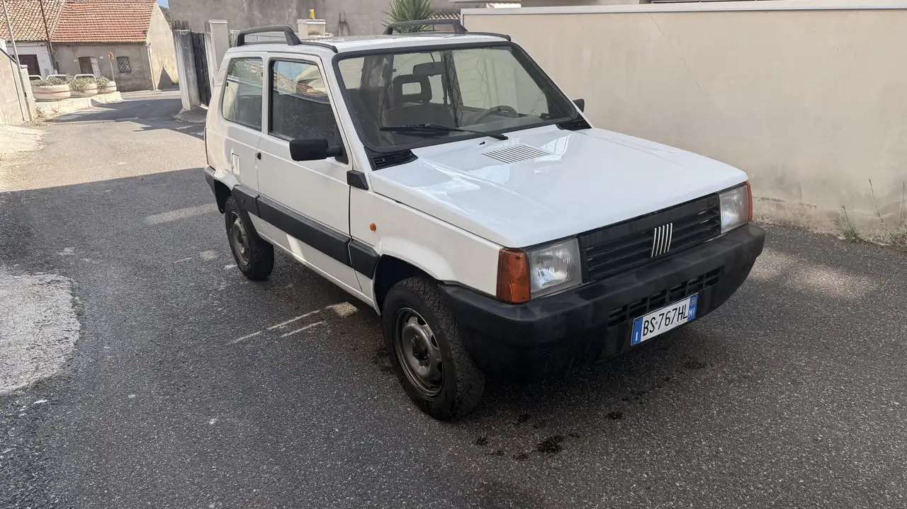 Fiat Panda 1.1 Trekking 4x4, foto 2