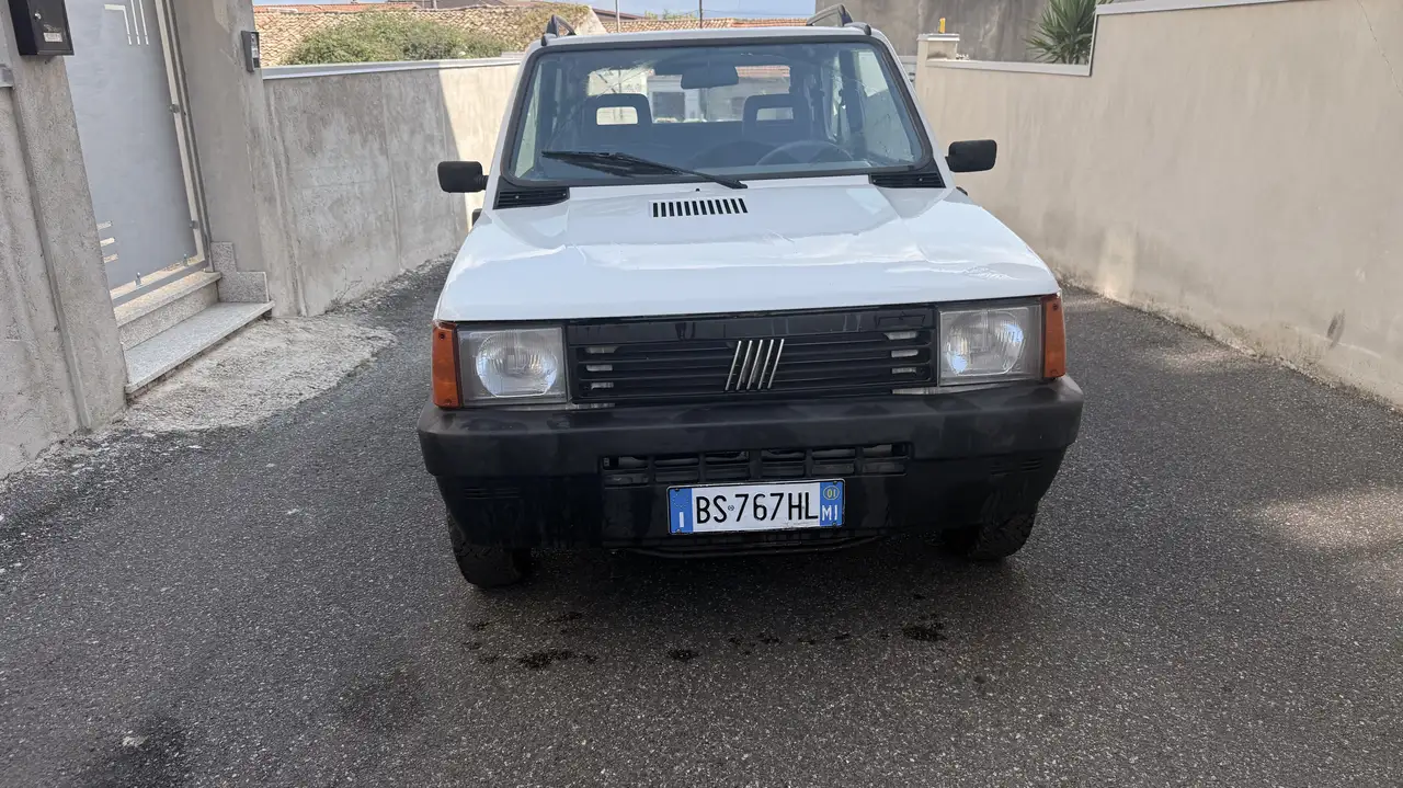 Fiat Panda 1.1 Trekking 4x4, foto 1