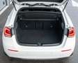Mercedes-Benz A 160 AMG I Camera I Carplay I Cruise Control I NAP I BT Weiß - thumbnail 32