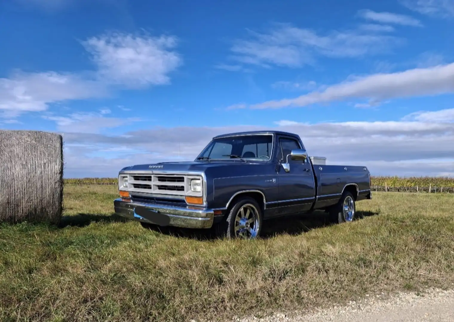 Dodge RAM D100 Blau - 2
