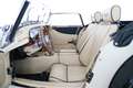 Morgan Plus 4 Morgan Plus 4 2 Sitzer Beige - thumbnail 10