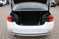 BMW 420 d Cabrio Sport Autom. Leder/Navi/Xenon/Memory White - thumbnail 8