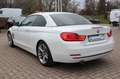 BMW 420 d Cabrio Sport Autom. Leder/Navi/Xenon/Memory Weiß - thumbnail 4