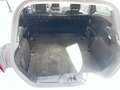 Ford Fiesta Fiesta 3p 1.5 ecoblue ST-Line s Biały - thumbnail 5
