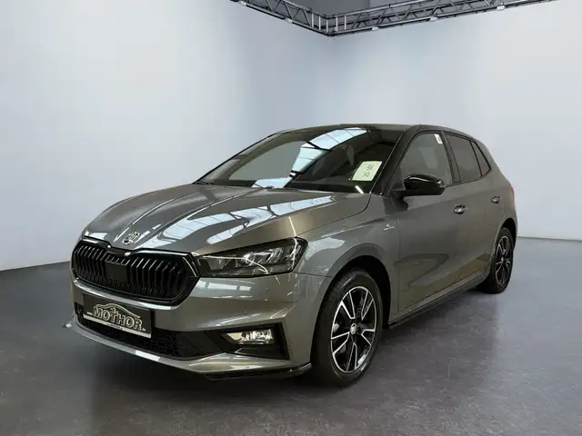 Skoda Fabia view 2