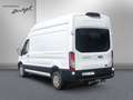 Ford Transit Transit 350 L3H3 Lkw HA Trend,KLIMA,NAVI,XENON,TEM Weiß - thumbnail 6