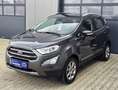 Ford EcoSport Titanium- 1.Hand-Scheckheft Ford-Unfallfrei Gris - thumbnail 7