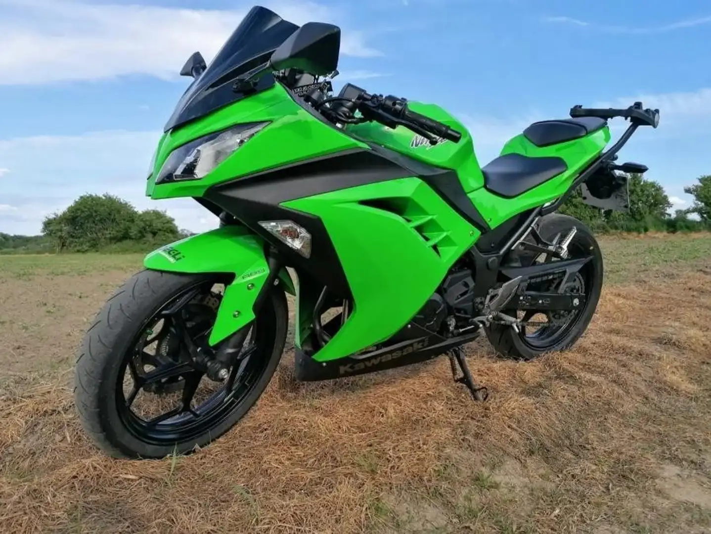 Kawasaki Ninja 300 Zöld - 2