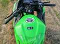 Kawasaki Ninja 300 Green - thumbnail 5