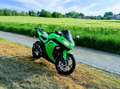 Kawasaki Ninja 300 zelena - thumbnail 14