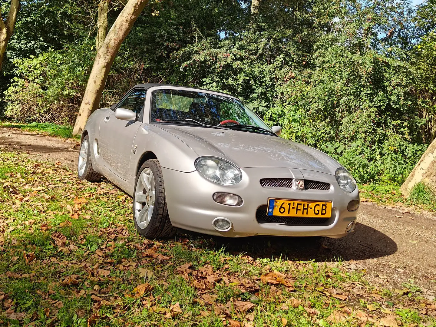 MG MGF MGF 1.8i Grijs - 1