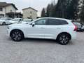 Volvo XC60 XC60 2.0 b4 Momentum Pro auto Blanc - thumbnail 4
