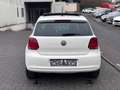 Volkswagen Polo V 1.2 Life **1-HAND*PANO*KETTE-NEU*SHZ** Weiß - thumbnail 8