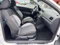 Volkswagen Polo V 1.2 Life **1-HAND*PANO*KETTE-NEU*SHZ** Weiß - thumbnail 16