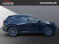 Lexus NX 350h h 243 PS Executive Inter ieur Paket + Technologie Paket Noir - thumbnail 6