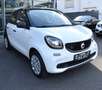 smart forFour electric drive / EQ*cool&audio*1.Hd* Weiß - thumbnail 2