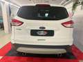 Ford Kuga OCCASIONE - OTTIME CONDIZIONI - NO FUMATORI Weiß - thumbnail 6