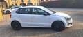 Volkswagen Polo Plus DIESEL BLUETC Blanco - thumbnail 2