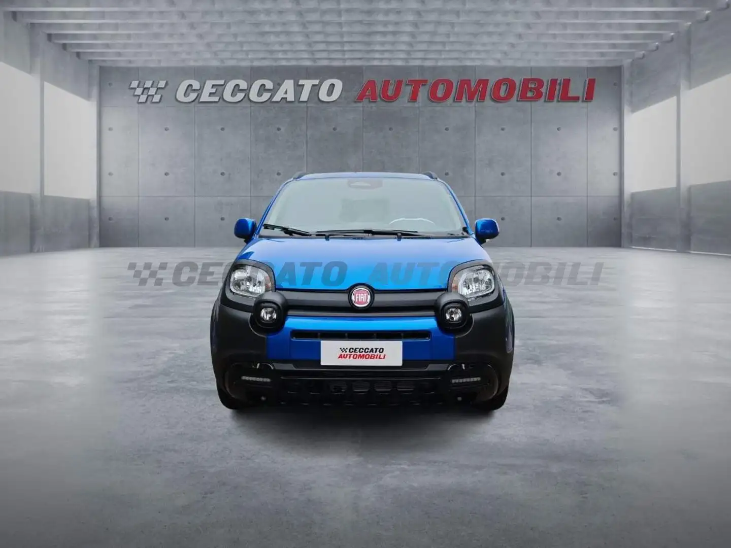 Fiat Panda Panda My25 1.0 70cv Hybrid Pandina Blu/Azzurro - 2