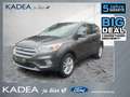 Ford Kuga 2.0 TDCi 4x4 Titanium Allrad|Sitzheizung Grijs - thumbnail 1