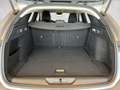 Peugeot 308 SW Allure MHEV 145 e-DCS6 Grau - thumbnail 18
