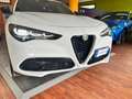 Alfa Romeo Stelvio 2.2 diesel 160 CV AT8 RWD Sprint AUTOCARRO Weiß - thumbnail 4