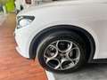 Alfa Romeo Stelvio 2.2 diesel 160 CV AT8 RWD Sprint AUTOCARRO Weiß - thumbnail 13