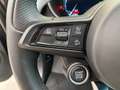 Alfa Romeo Stelvio veloce Q4 210cv Grau - thumbnail 16