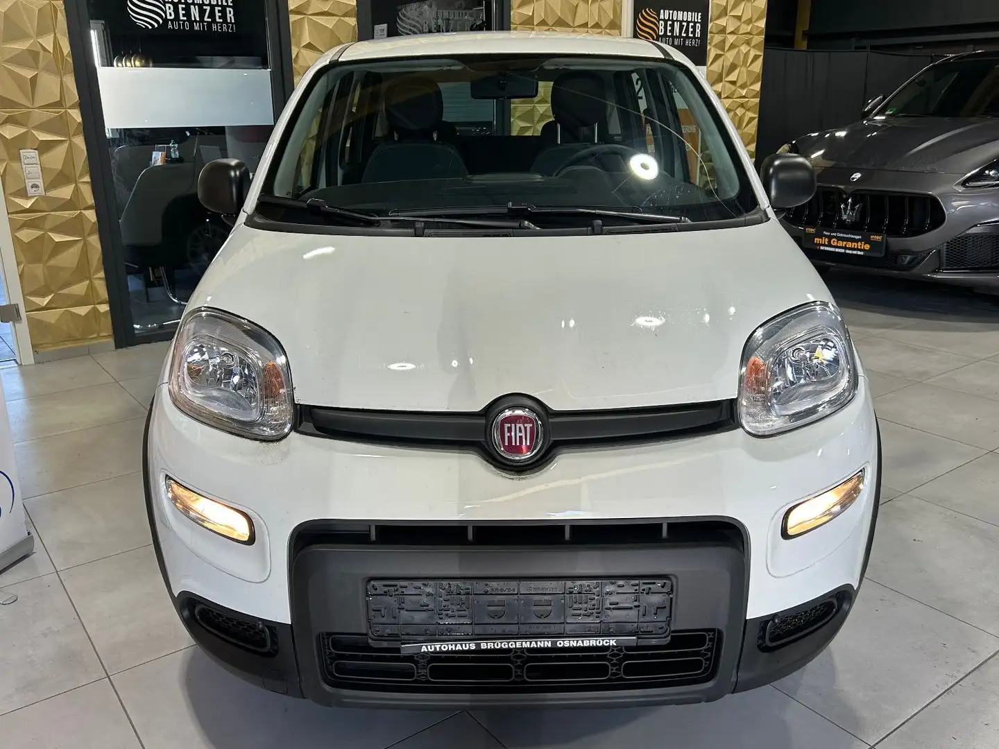 Fiat Panda Base/KLIMA/4-TÜRER/DAB/ALLWETTER Bílá - 2
