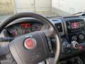 Fiat Ducato Ducato L1H2 Wit - thumbnail 6