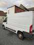 Fiat Ducato Ducato L1H2 Wit - thumbnail 4