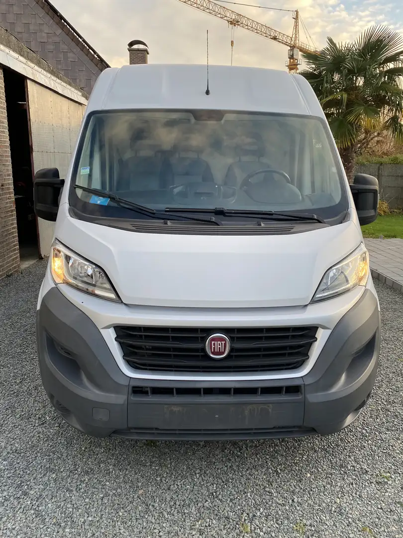 Fiat Ducato Ducato L1H2 Wit - 1