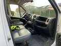 Fiat Ducato Ducato L1H2 Wit - thumbnail 7