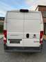 Fiat Ducato Ducato L1H2 Wit - thumbnail 2