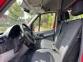 Mercedes-Benz Sprinter 211 CDI Kasten(Navi, Allwetter, Rückfahrkamera) Rot - thumbnail 13