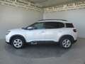 Citroen C5 Aircross BlueHDI 130 S&S C-Series *Rückfahrkamera *2 Zon... Weiß - thumbnail 3