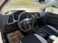 SEAT Ateca 1,0 TSI Reference Weiß - thumbnail 7