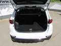 Kia Sportage 1,6 CRDI SCR Silber Weiß - thumbnail 11
