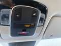 Hyundai TUCSON NX4 GO Plus 1.6 T-GDU HEV 2WD Grün - thumbnail 20