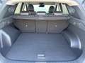 Hyundai TUCSON NX4 GO Plus 1.6 T-GDU HEV 2WD Grün - thumbnail 7
