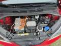 SEAT Mii electric Plus Rot - thumbnail 14