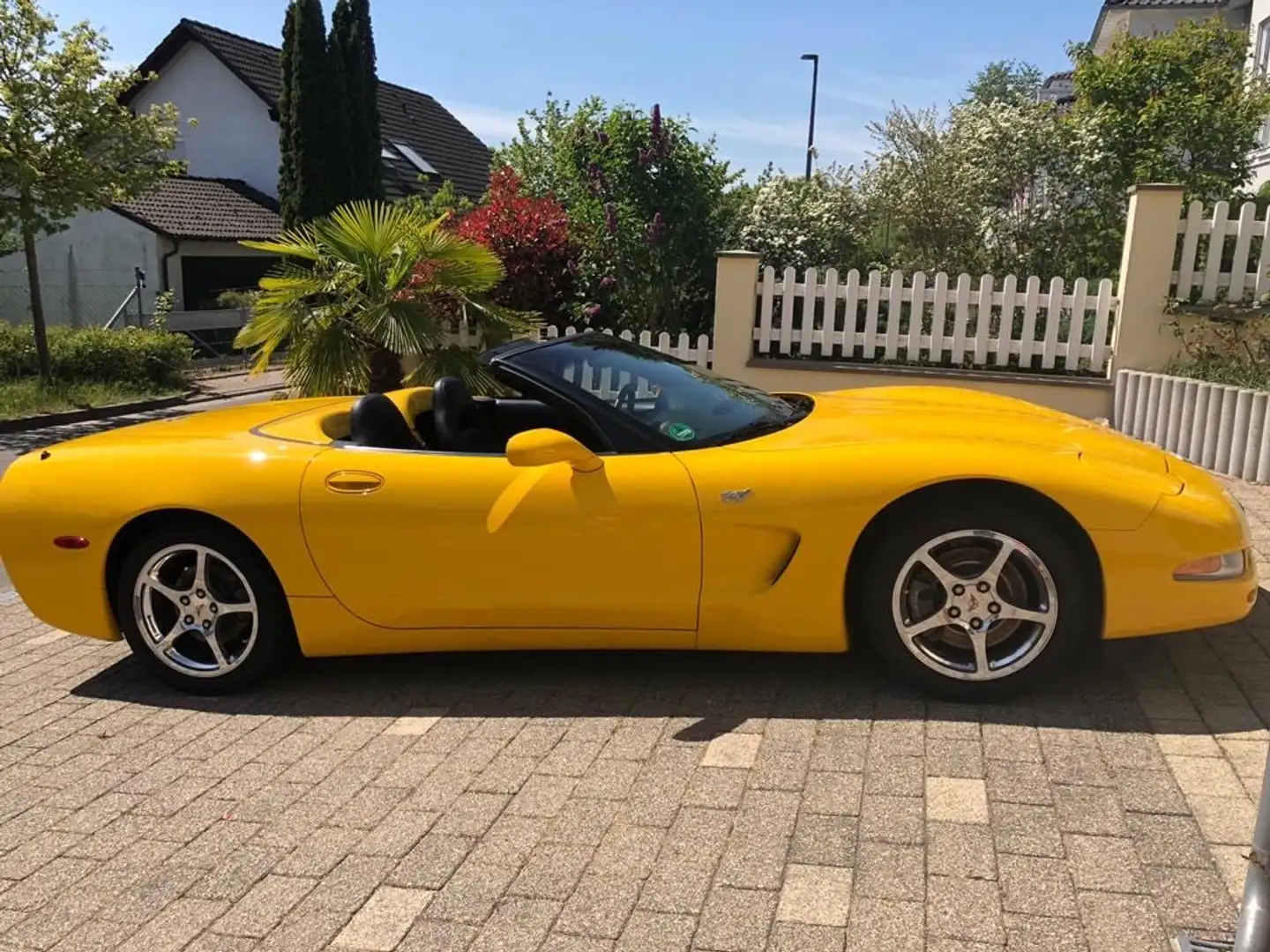 Corvette C5 Cabrio   50thAnniversary Galben - 2
