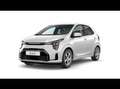 Kia Picanto 1.0 Edition 7 +Aktion+Navi+R.Kamera+PDC+ Weiß - thumbnail 2