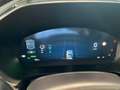 Ford Kuga 2.5 Duratec PHEV ST-LINE (DFK) Grün - thumbnail 9