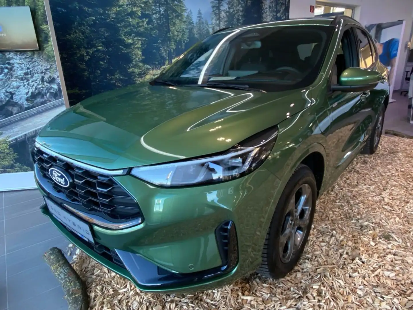 Ford Kuga 2.5 Duratec PHEV ST-LINE Lenkradheizung, LED Schei Grün - 1