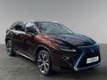 Lexus RX 450h E-four Executive 8-fach bereift Brun - thumbnail 7