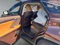 Lexus RX 450h E-four Executive 8-fach bereift Brun - thumbnail 14