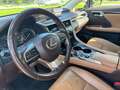 Lexus RX 450h E-four Executive 8-fach bereift Brun - thumbnail 16