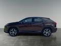 Lexus RX 450h E-four Executive 8-fach bereift Brun - thumbnail 2