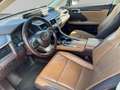 Lexus RX 450h E-four Executive 8-fach bereift Brun - thumbnail 9